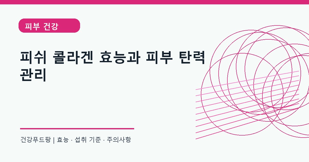 피쉬 콜라겐 피부 탄력 정보 대표 이미지