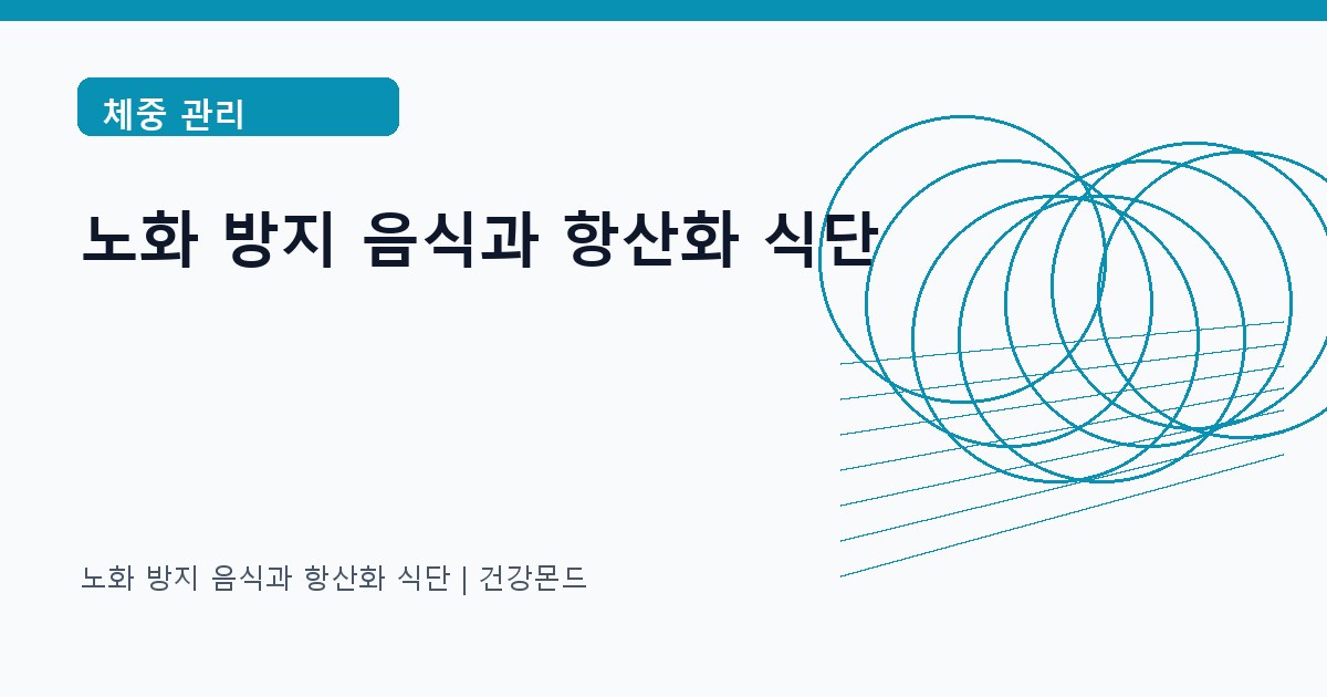 노화 방지 음식과 항산화 식단 체중 관리 정보 대표 이미지