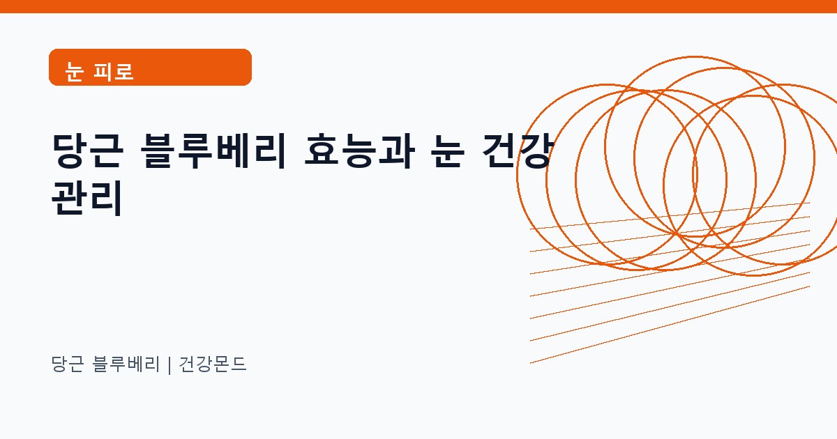 당근 블루베리 눈 피로 정보 대표 이미지