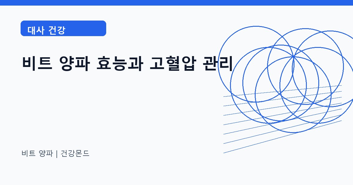 비트 양파 대사 건강 정보 대표 이미지