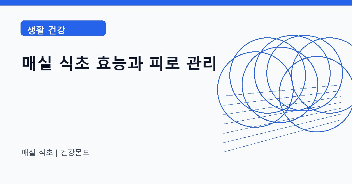 매실 식초 생활 건강 정보 대표 이미지