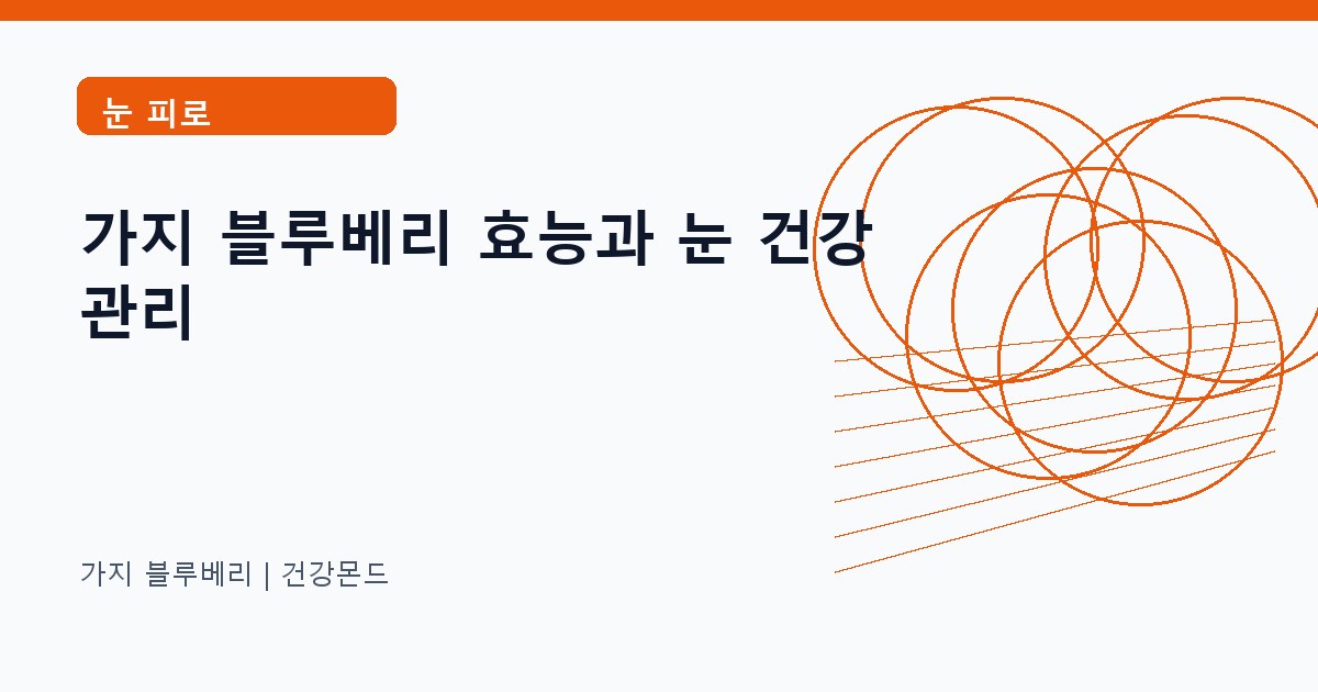 가지 블루베리 눈 피로 정보 대표 이미지