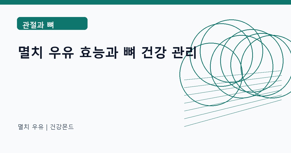 멸치 우유 관절과 뼈 정보 대표 이미지