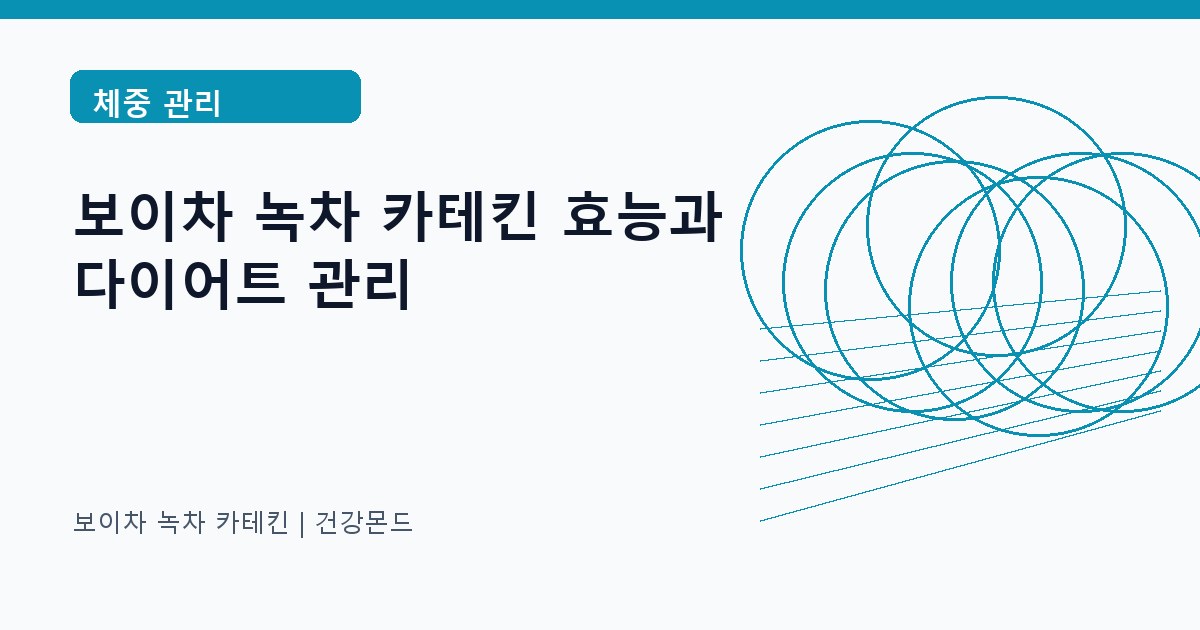 보이차 녹차 카테킨 체중 관리 정보 대표 이미지