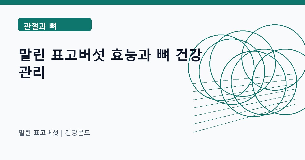 말린 표고버섯 관절과 뼈 정보 대표 이미지