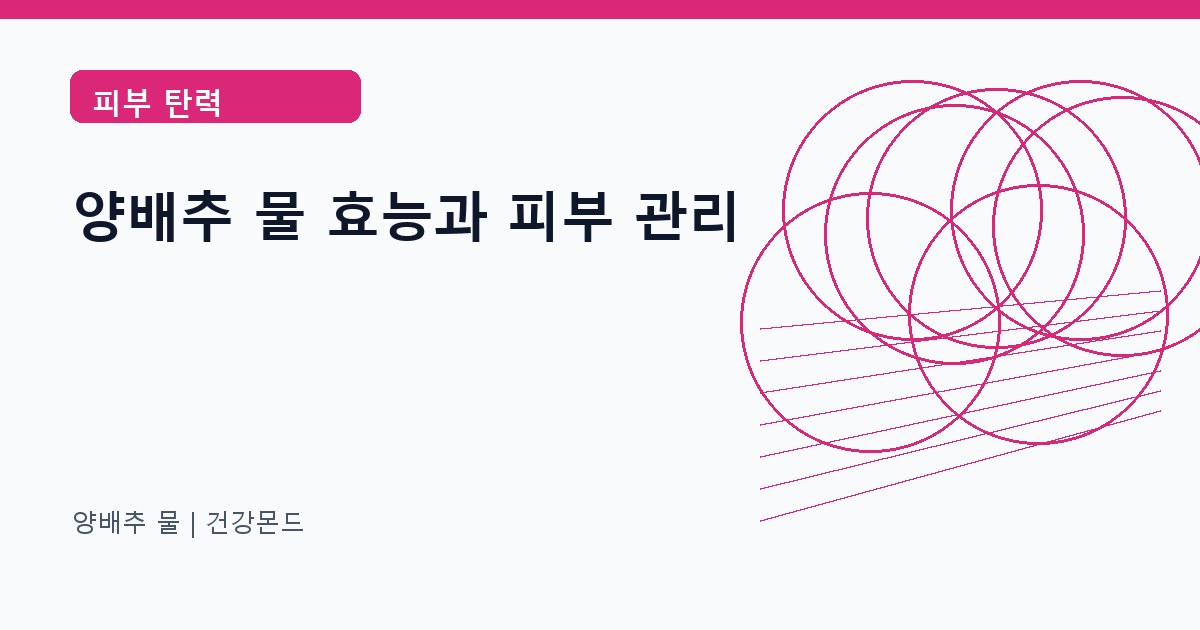 양배추 물 피부 탄력 정보 대표 이미지