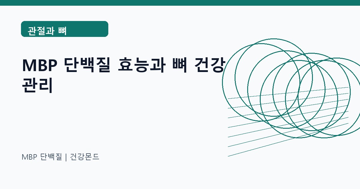 MBP 단백질 관절과 뼈 정보 대표 이미지