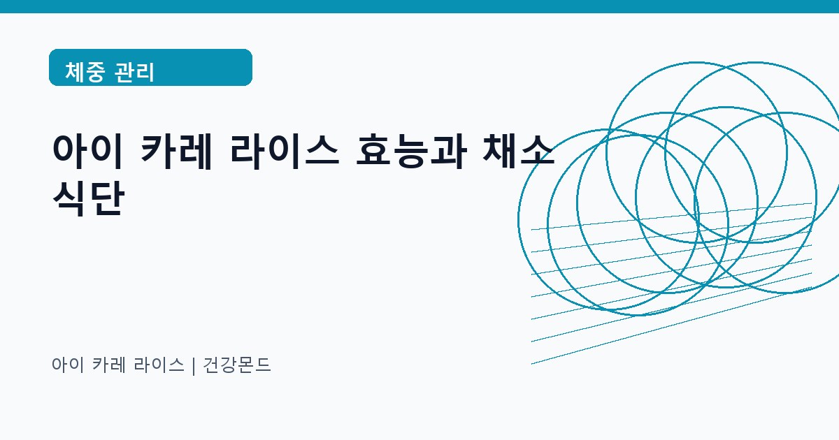 아이 카레 라이스 체중 관리 정보 대표 이미지