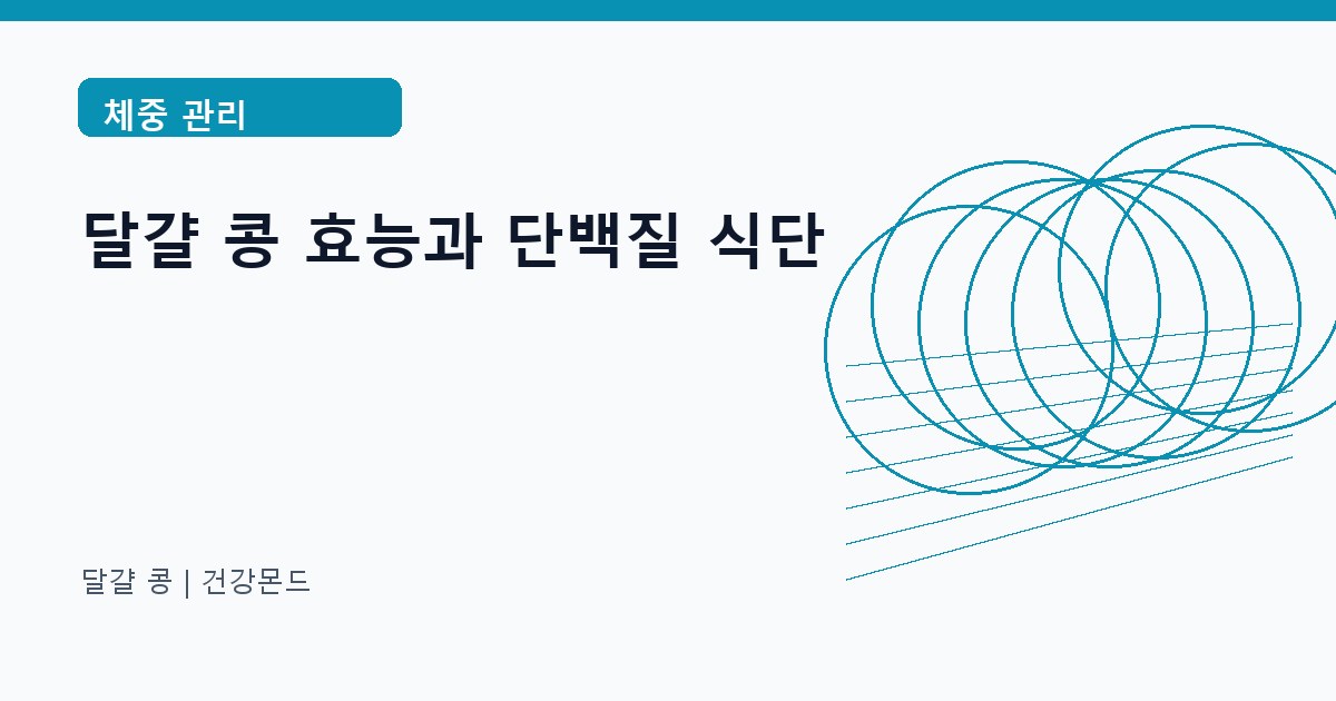 달걀 콩 체중 관리 정보 대표 이미지
