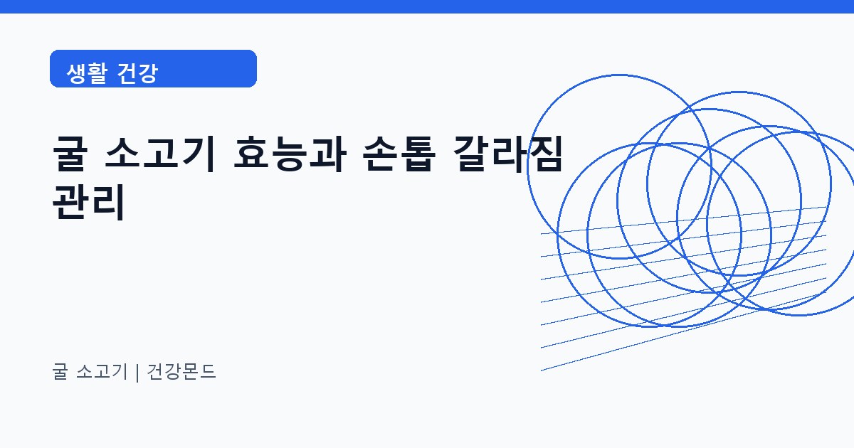 굴 소고기 생활 건강 정보 대표 이미지