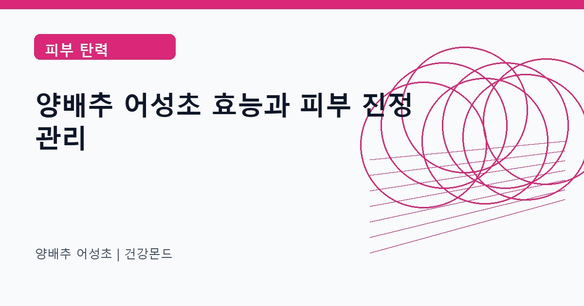 양배추 어성초 피부 탄력 정보 대표 이미지