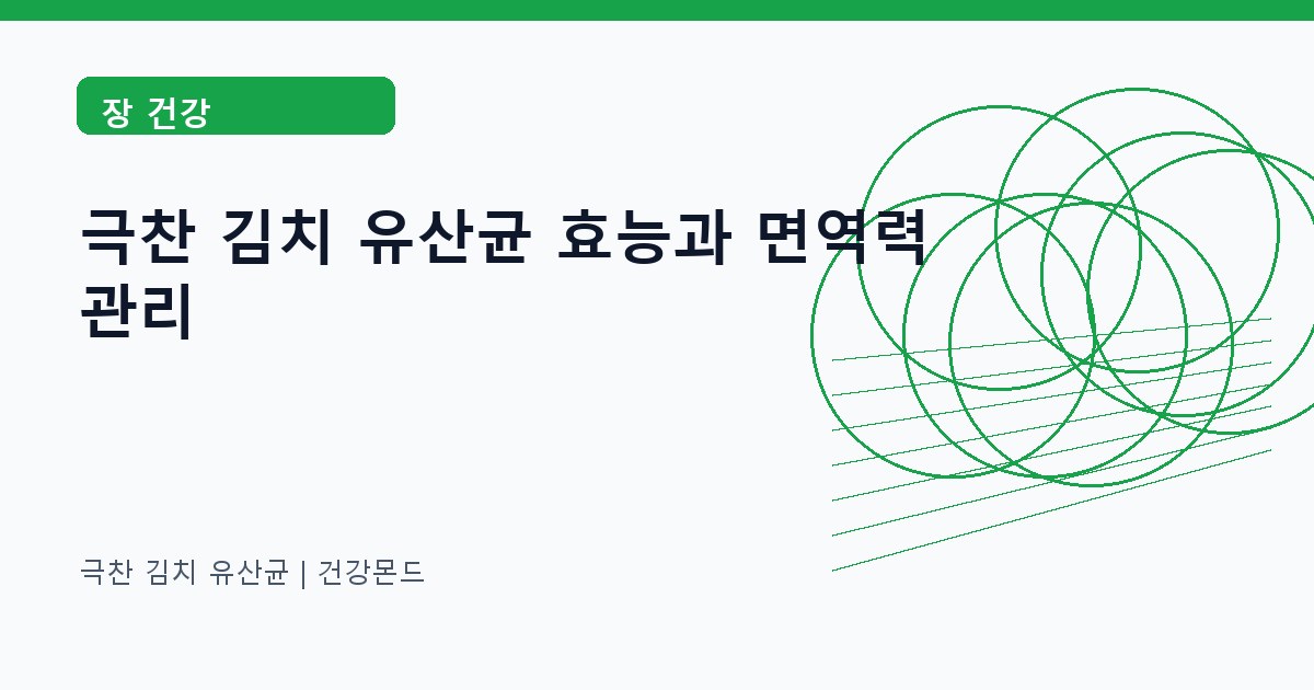극찬 김치 유산균 장 건강 정보 대표 이미지