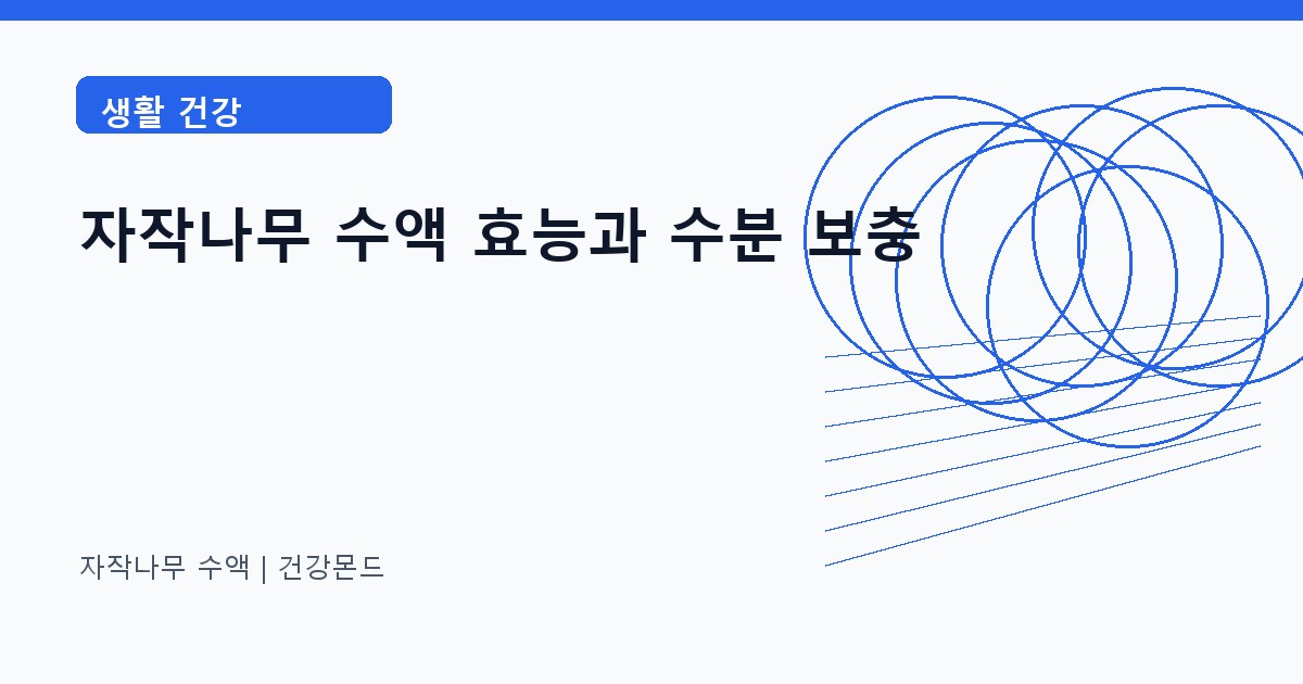 자작나무 수액 생활 건강 정보 대표 이미지