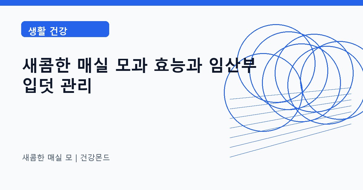 새콤한 매실 모 생활 건강 정보 대표 이미지