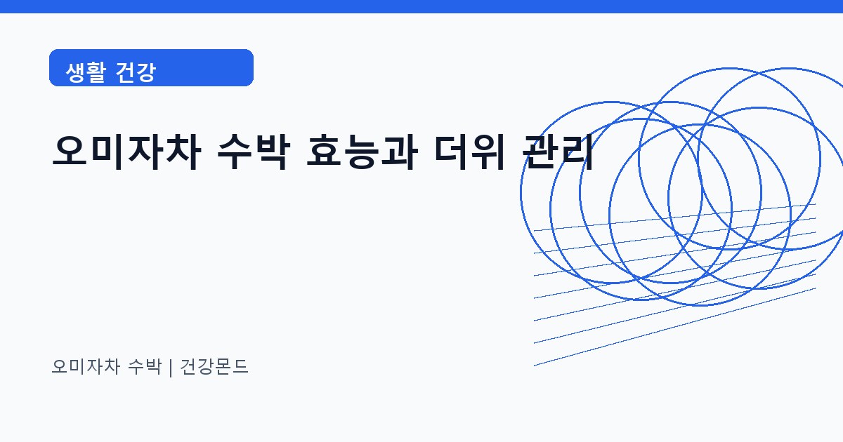 오미자차 수박 생활 건강 정보 대표 이미지