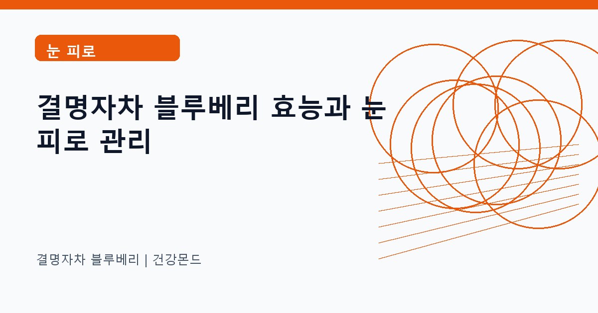 결명자차 블루베리 눈 피로 정보 대표 이미지