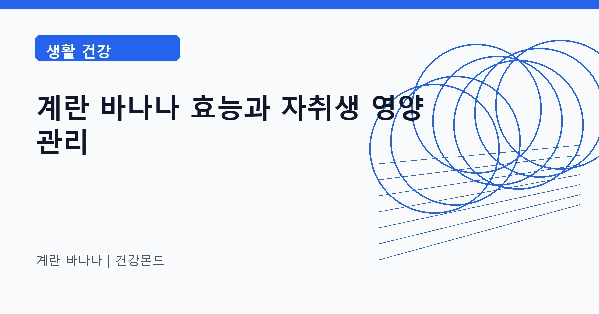 계란 바나나 생활 건강 정보 대표 이미지